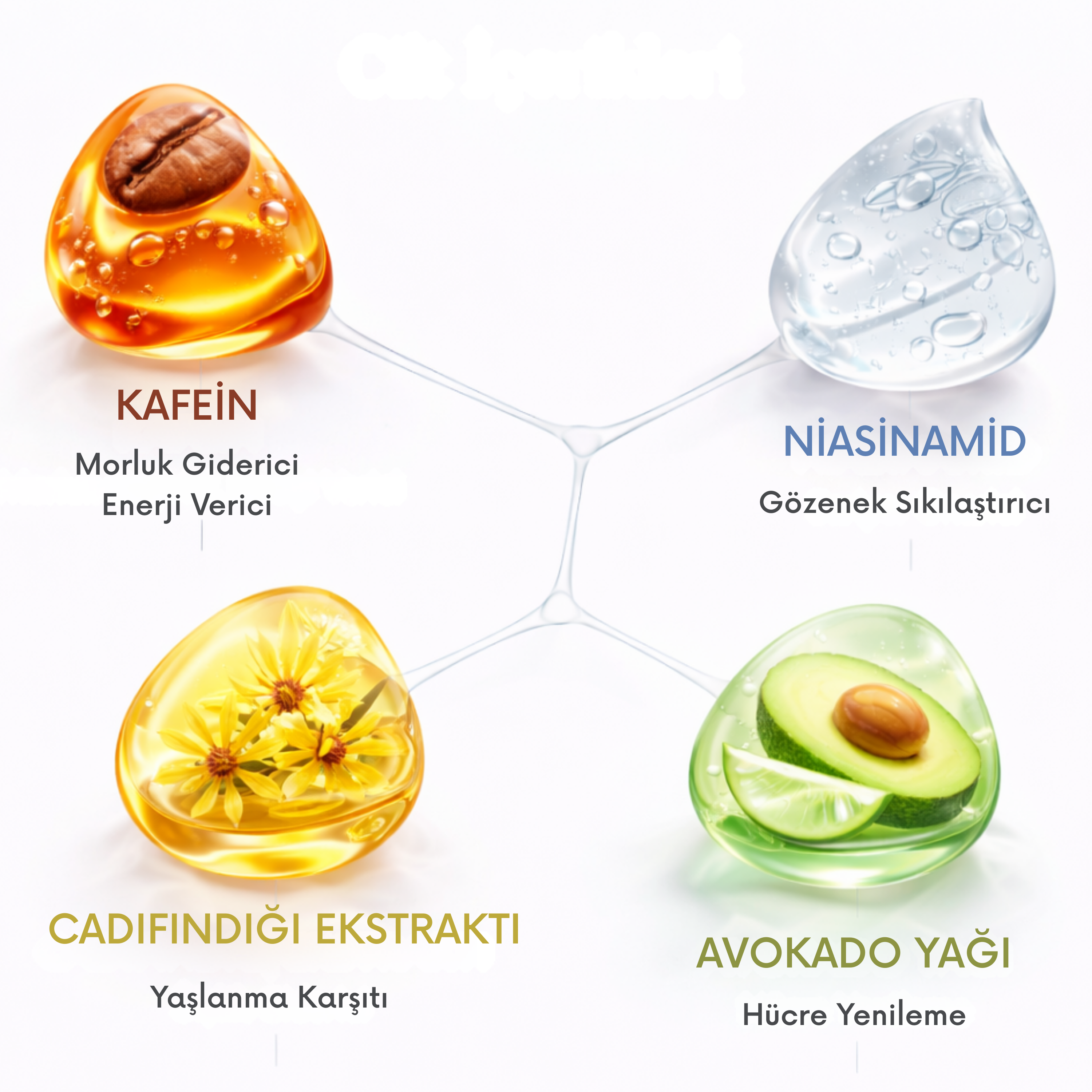 noureve_kafein_ve_niasinamid_cilt_bakim_bilesenleri