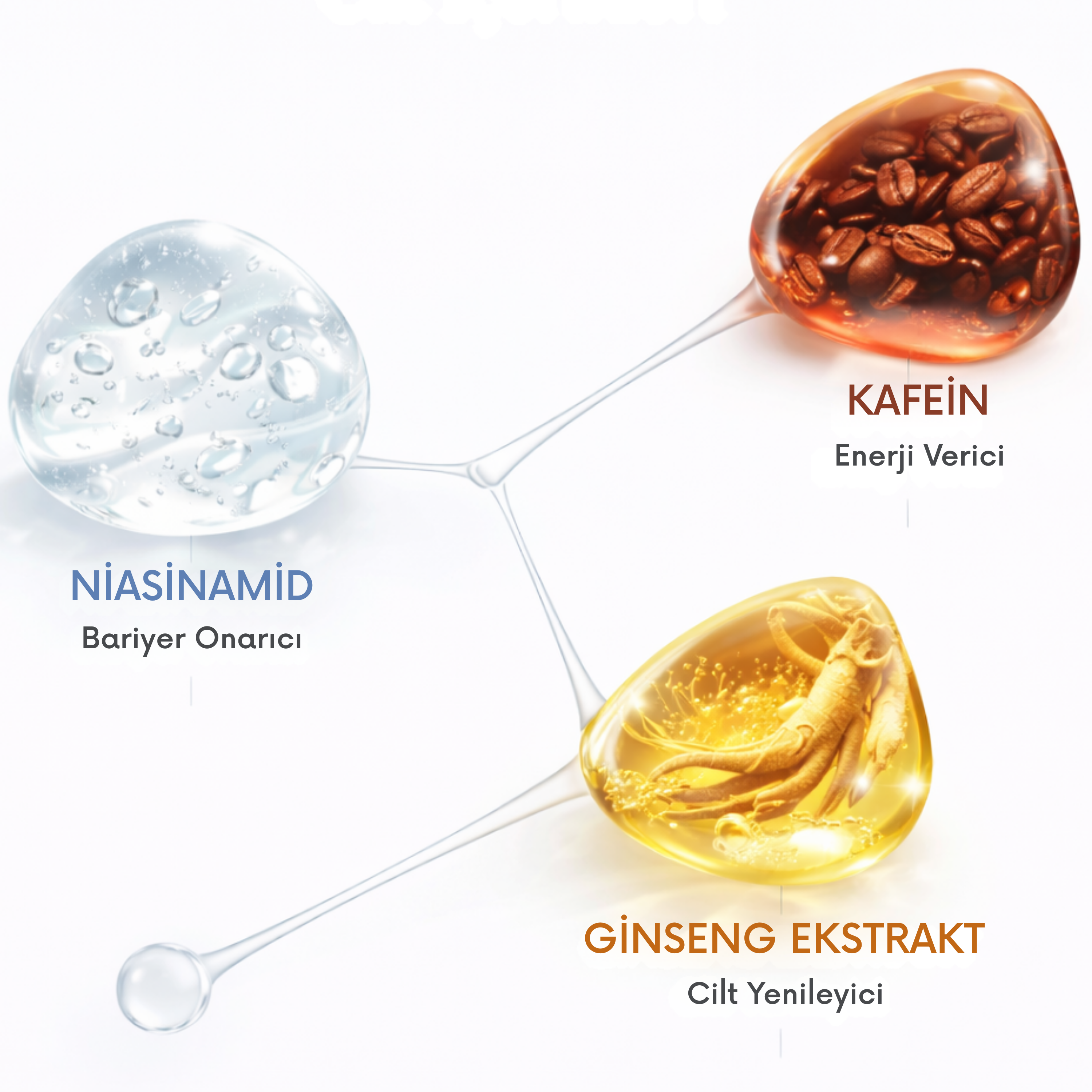 noureve_niasinamid_kafein_ve_ginseng_ekstrakti